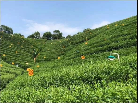 1577685233887878.jpg 4.jpg