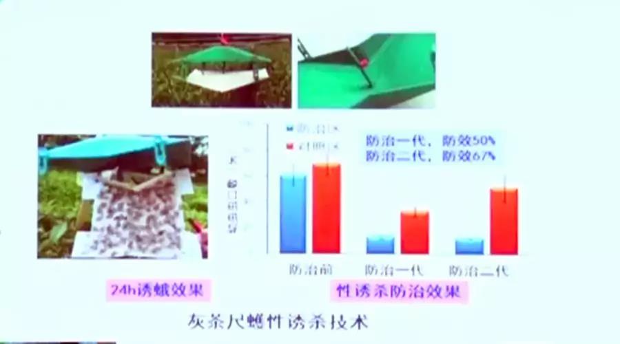 1577685701604960.jpg 5.jpg